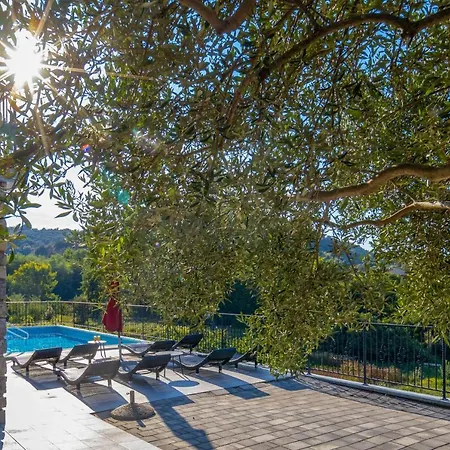 Lapida Supetarska Draga